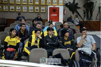 Sessão Ordinária e Extraordinária - 11-07 (17)