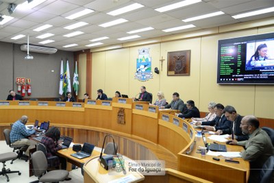 Sessão Ordinária e Extraordinária - 12-07 (02)