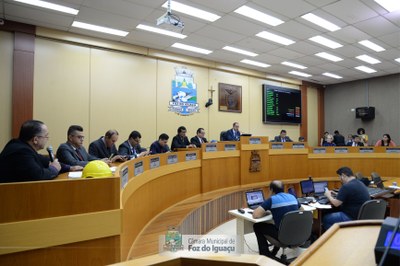 Sessão Ordinária e Extraordinária - 17/03/2020