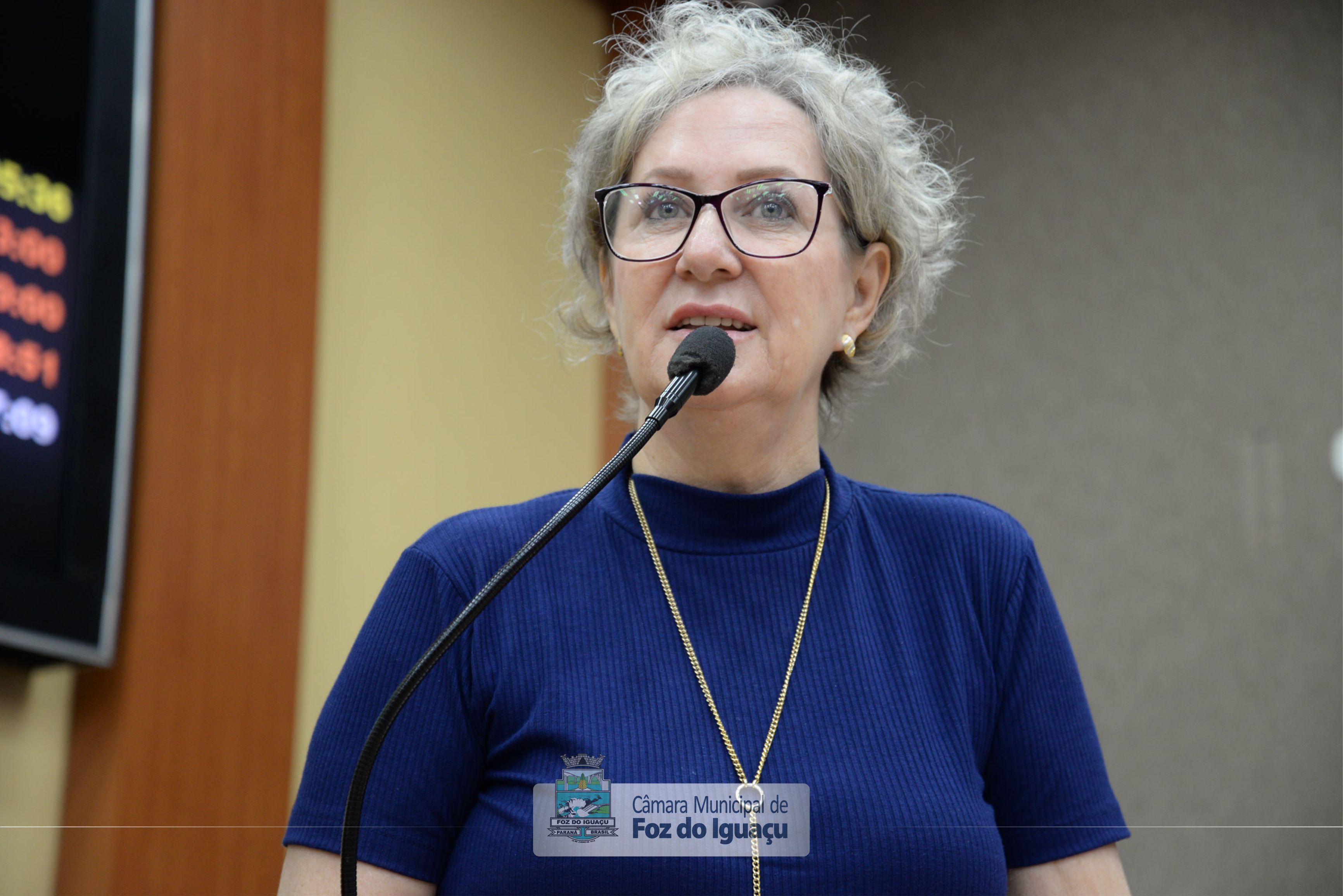 Sessão Ordinária e Extraordinária - 17/03/2020