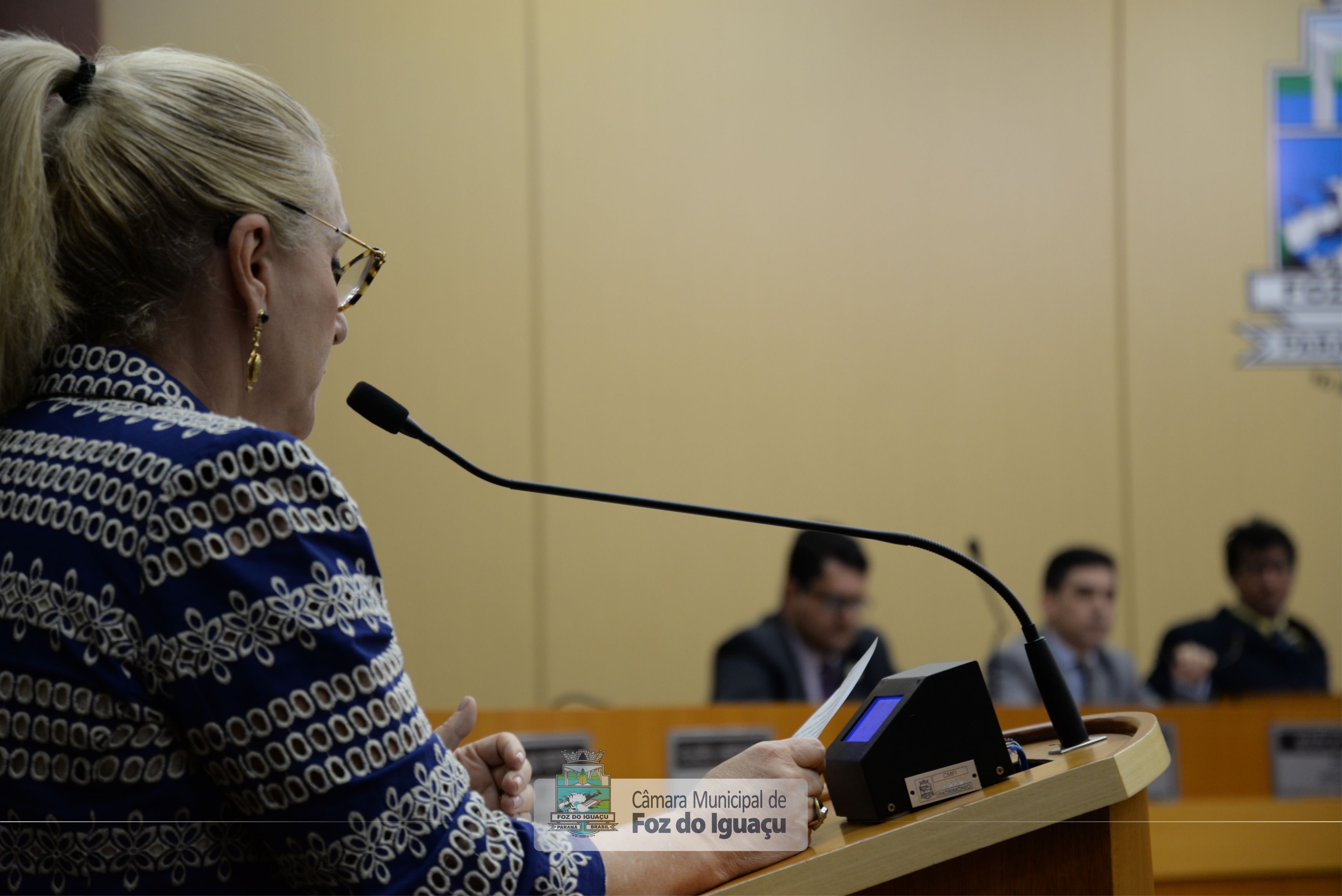 Sessão Ordinária e Extraordinária - 18-06 (02)