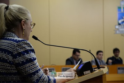 Sessão Ordinária e Extraordinária - 18-06 (02)