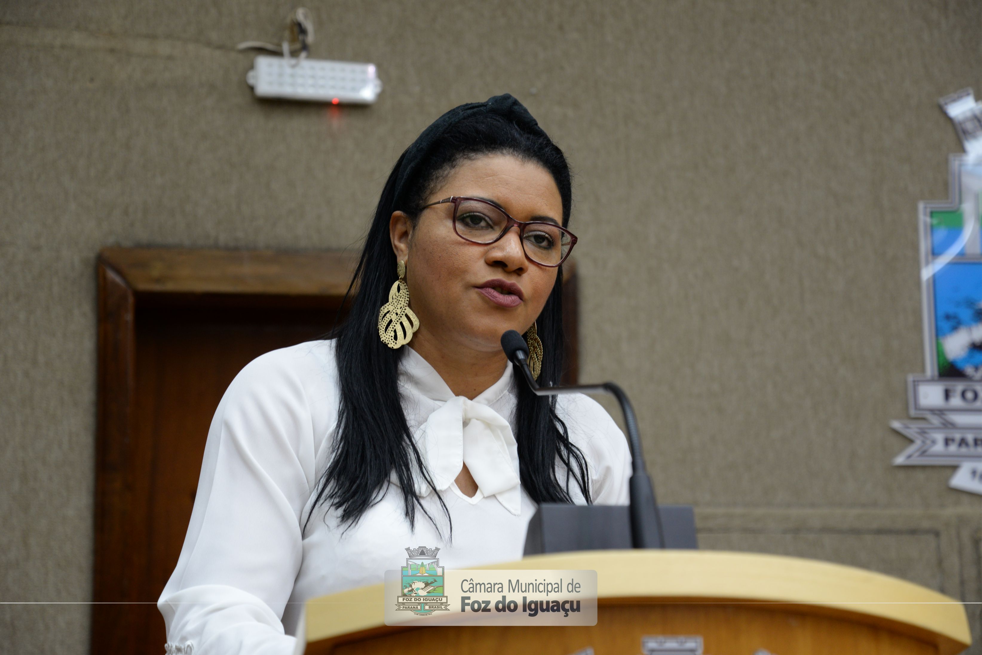 Sessão Ordinária e Extraordinária - 18-06 (06)