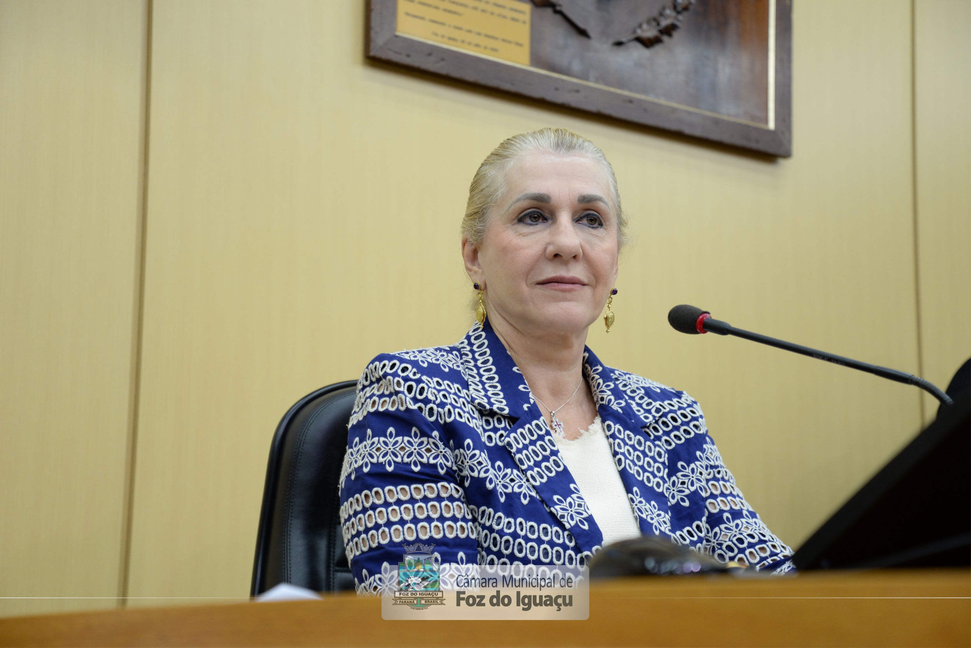 Sessão Ordinária e Extraordinária - 18-06 (10)