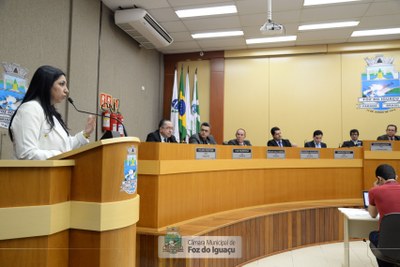 Sessão Ordinária e Sessão Extraordinária - 05-11 (05)