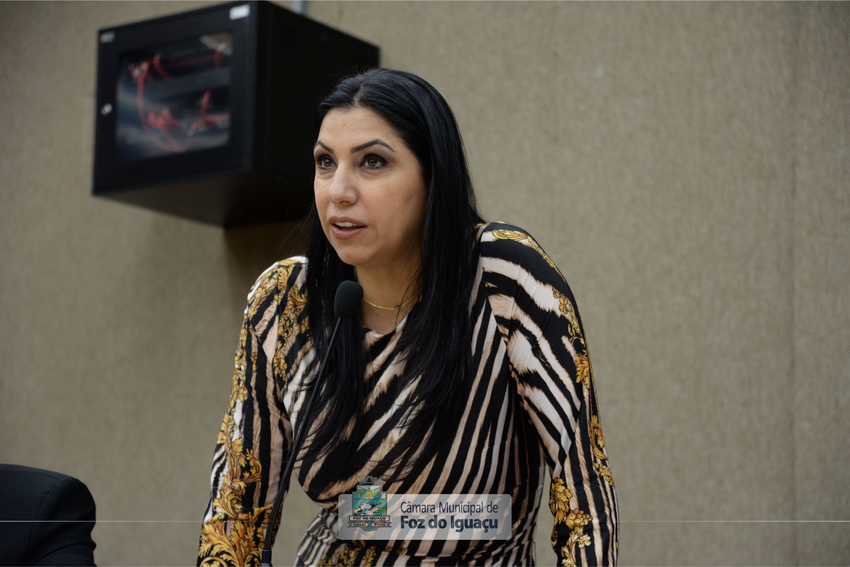 Sessão Ordinária e Sessão Extraordinária - 08-08 (04)