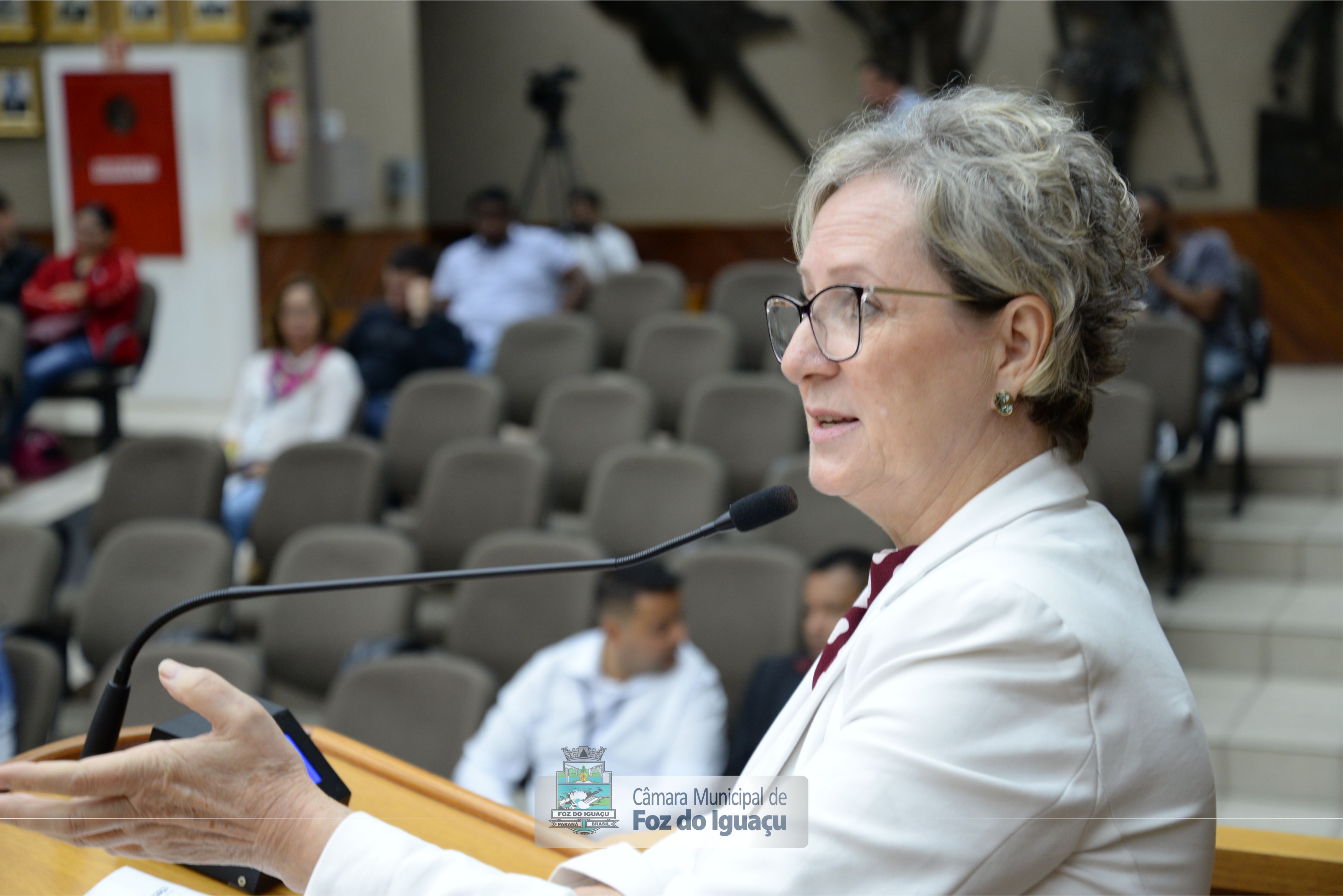 Sessão Ordinária e Sessão Extraordinária - 08-08 (08)