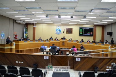 Sessão Ordinária e Sessão Extraordinária - 08-10 (01)