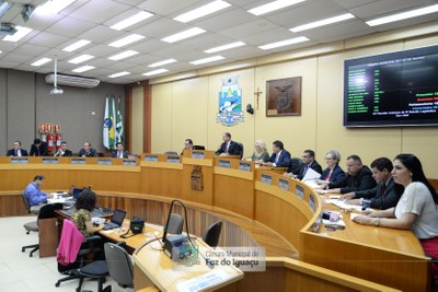 Sessão Ordinária e Sessão Extraordinária - 08-10 (09)