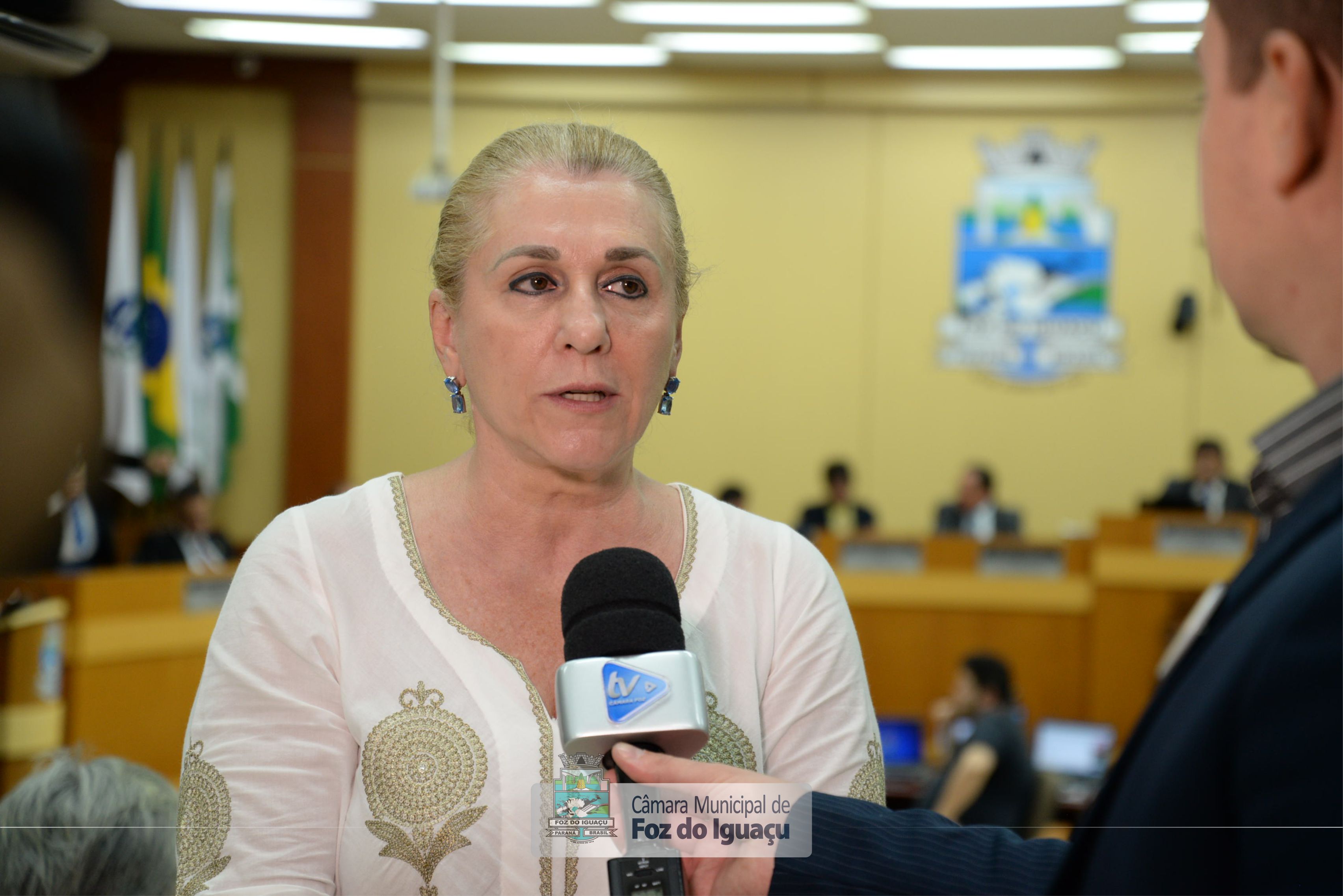 Sessão Ordinária e Sessão Extraordinária - 12-11