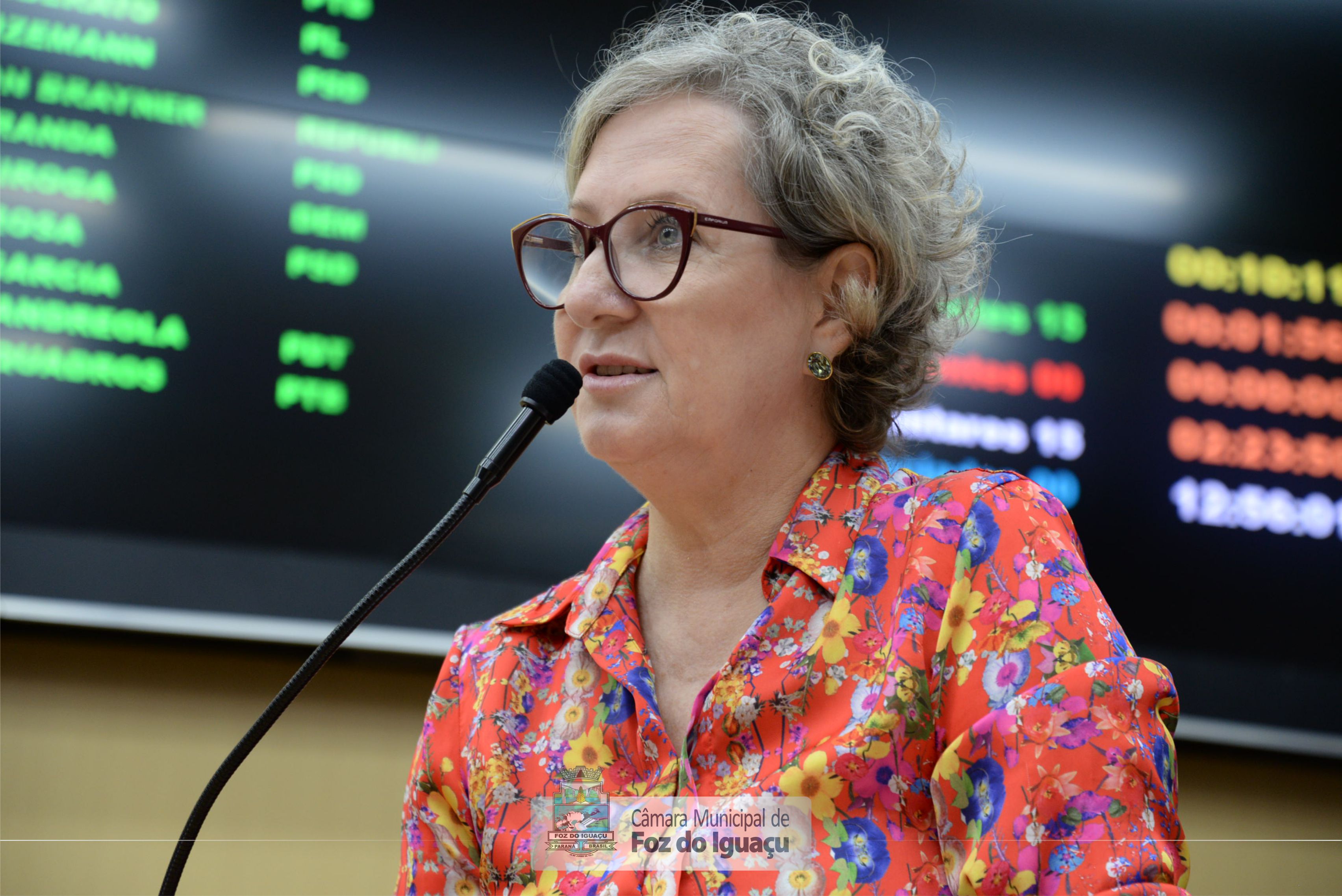 Sessão Ordinária e Sessão Extraordinária - 12-11