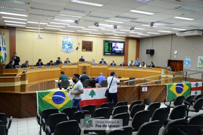 Sessão Ordinária e Sessão Extraordinária - 14-11-2019