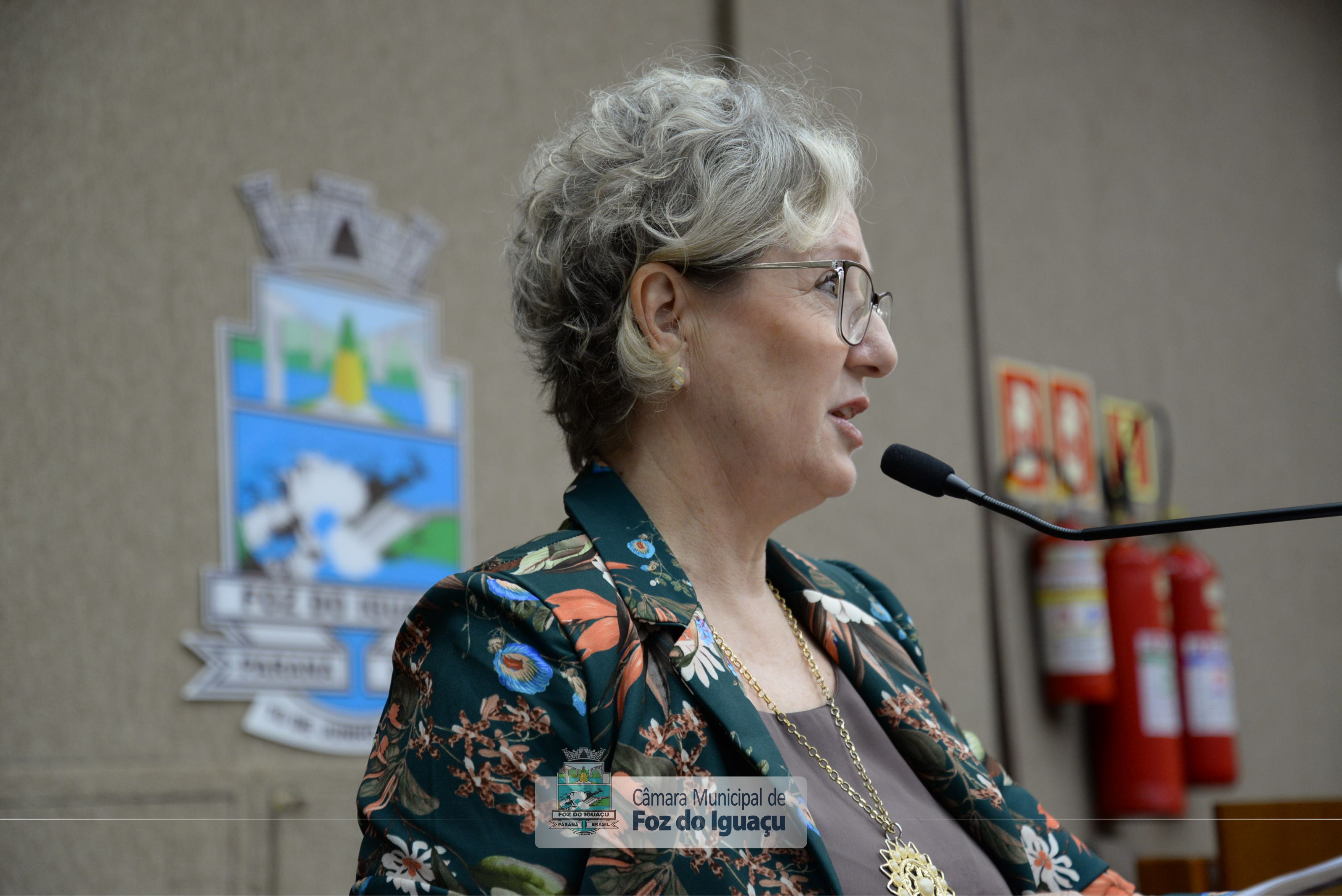 Sessão Ordinária e Sessão Extraordinária - 20-08 (11)