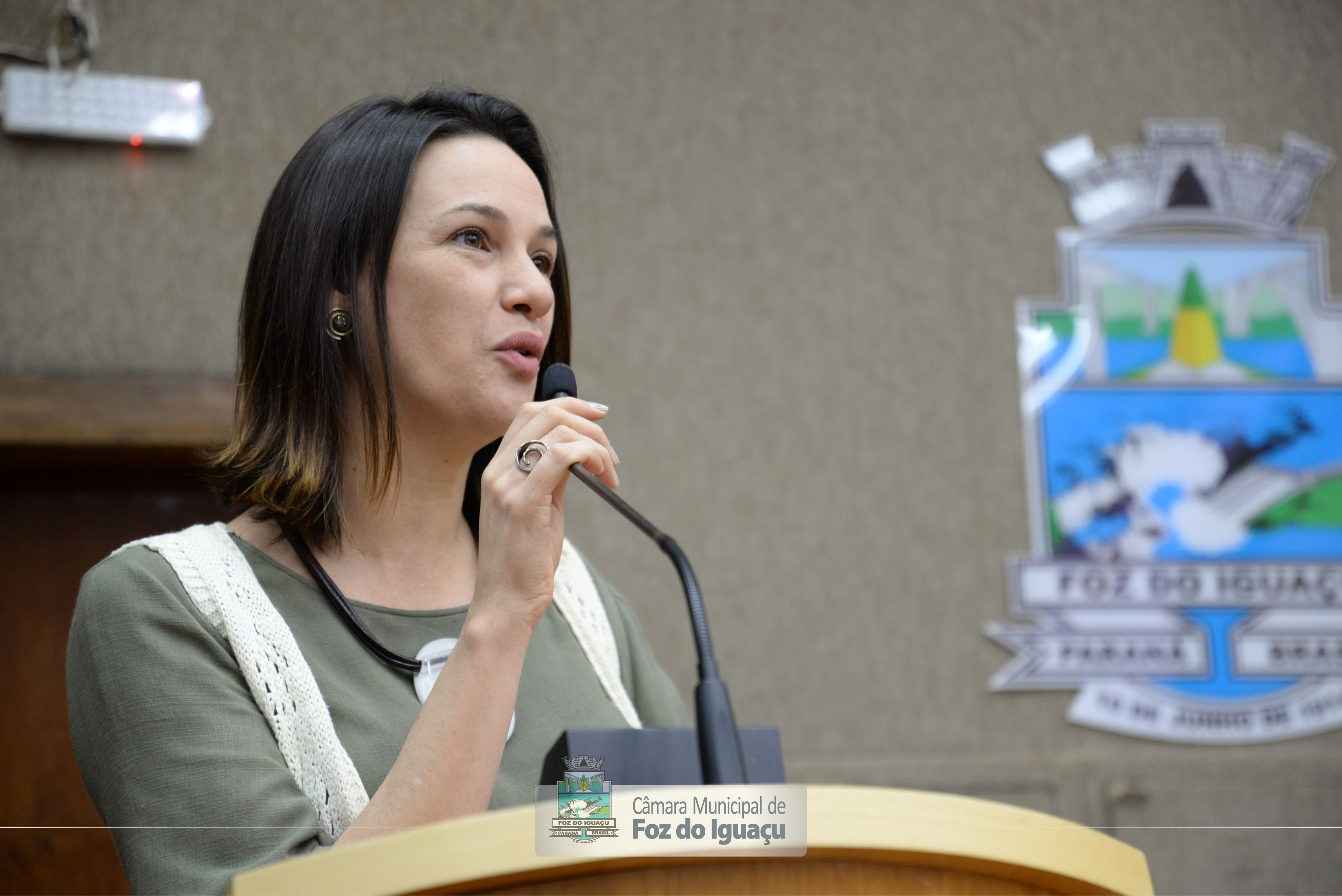 Sessão Ordinária e Sessão Extraordinária - 20-08 (12)