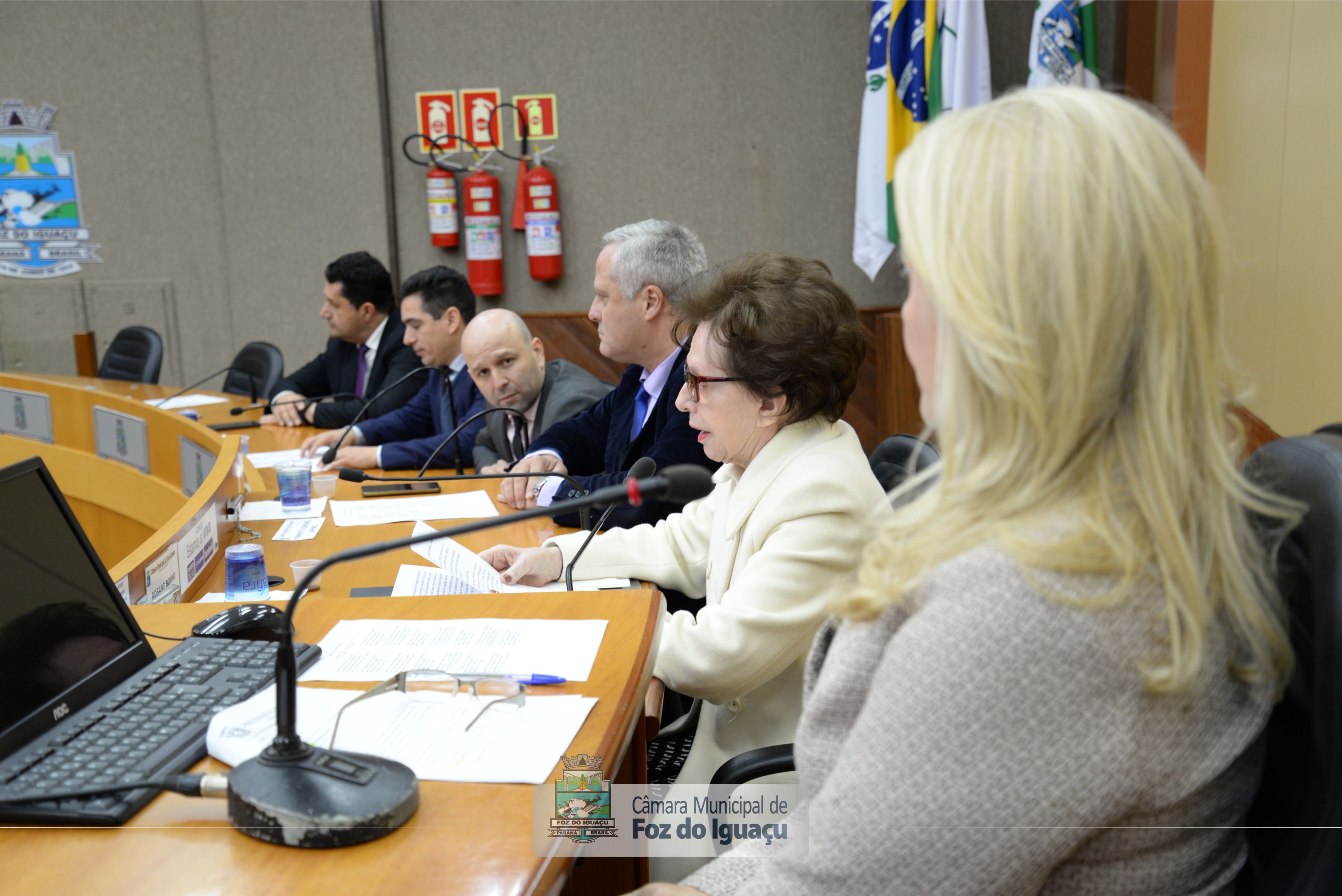 Título de Cidadã Honorária a Iracema Dariz - 08-07 (07)