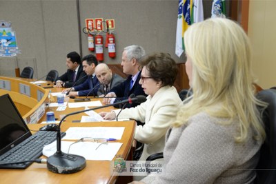 Título de Cidadã Honorária a Iracema Dariz - 08-07 (07)