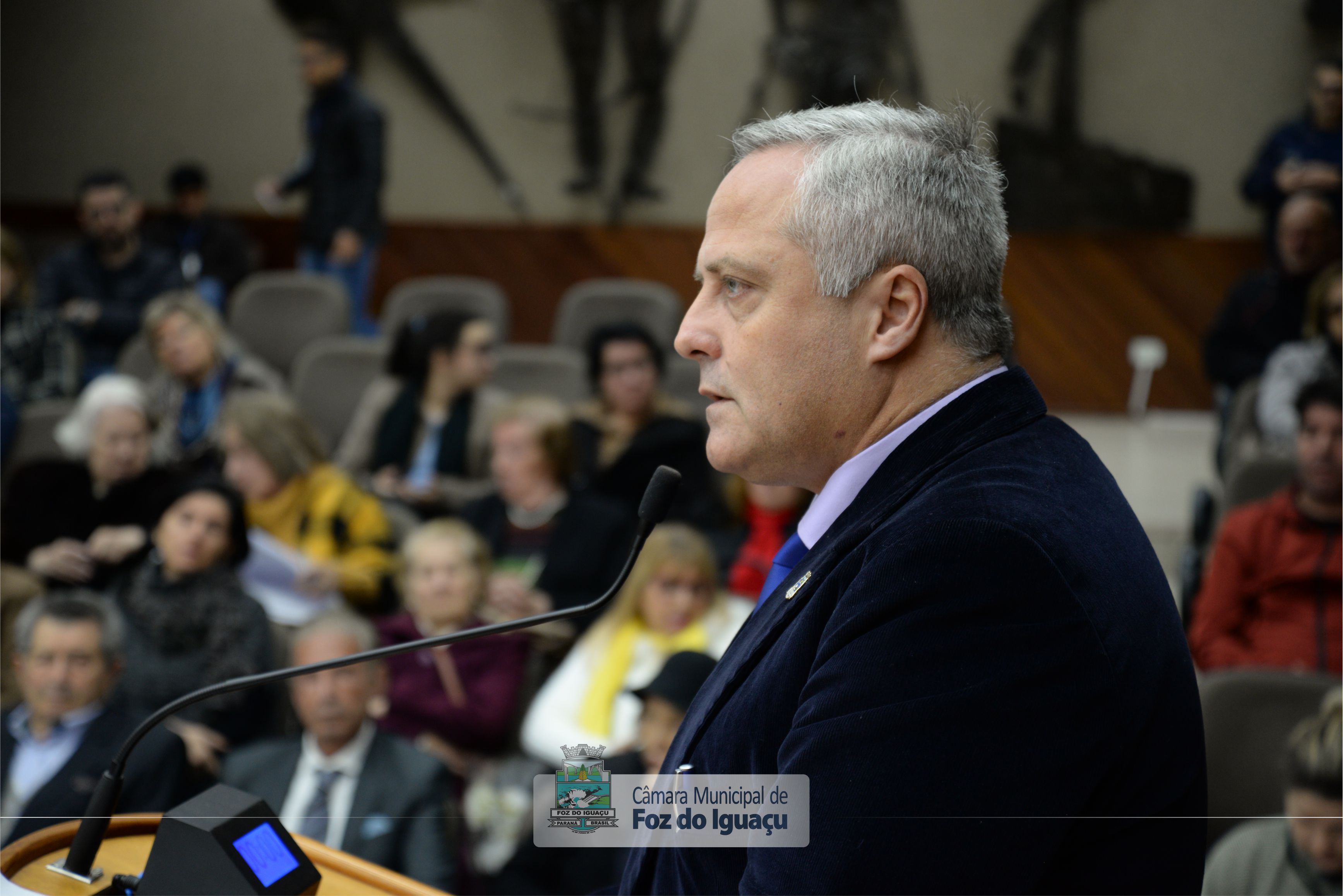 Título de Cidadã Honorária a Iracema Dariz - 08-07 (18)