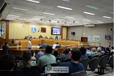 Título de Cidadã Honorária a Isabel Senandes - 08-11