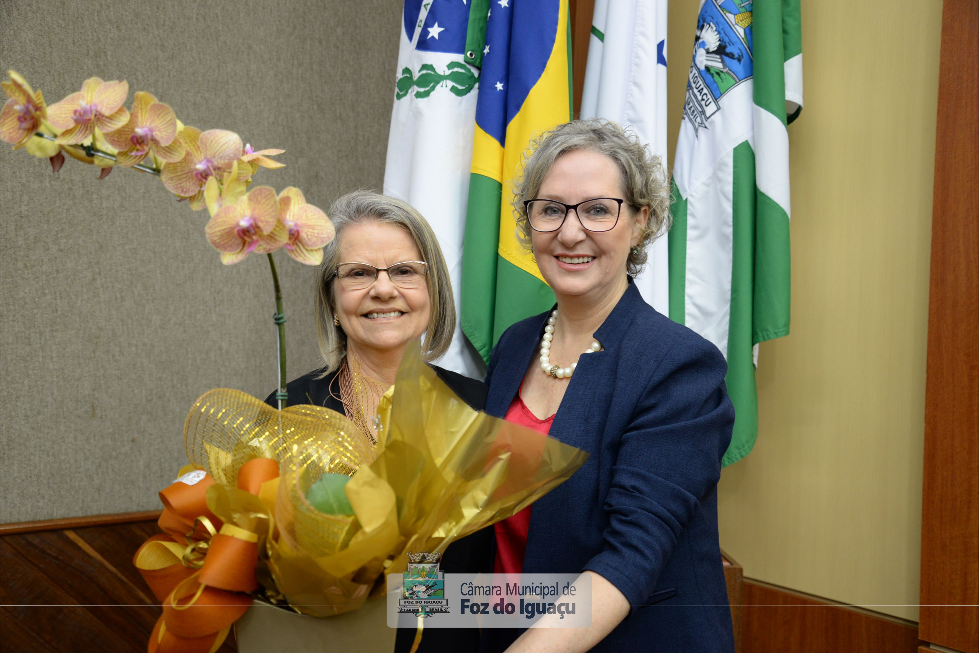 Título de Cidadã Honorária a Isabel Senandes - 08-11