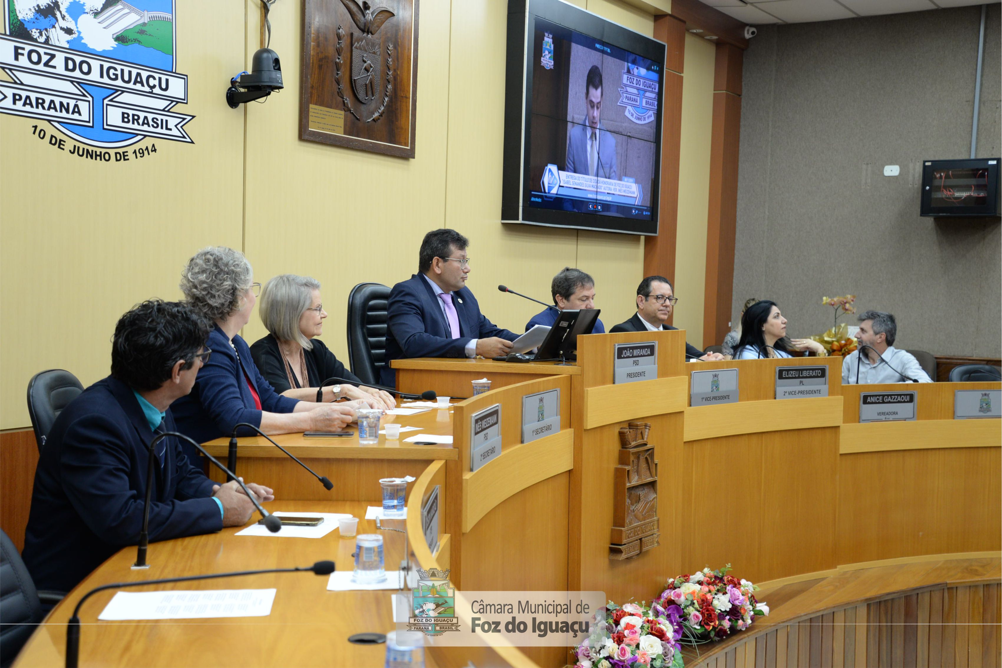 Título de Cidadã Honorária a Isabel Senandes - 08-11