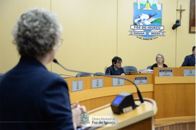 Título de Cidadã Honorária a Isabel Senandes - 08-11