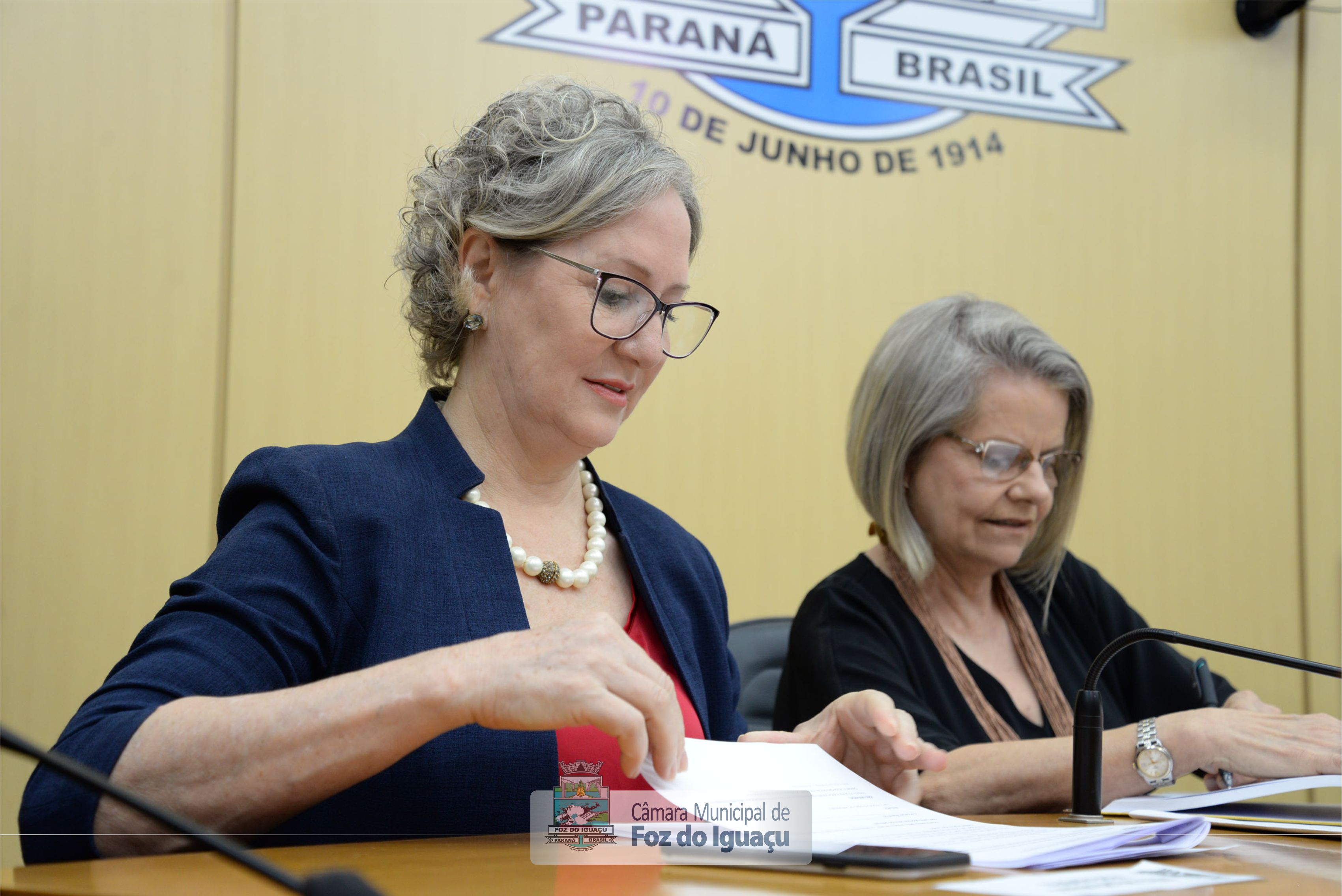 Título de Cidadã Honorária a Isabel Senandes - 08-11