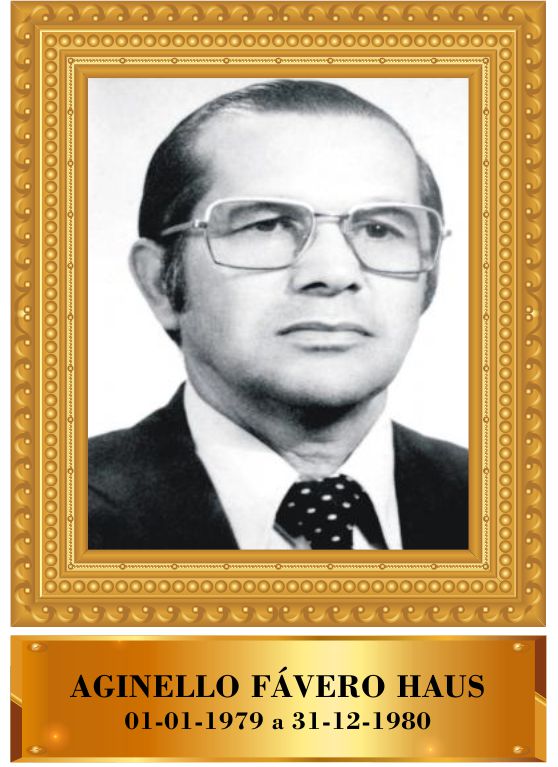 AGINELLO FÁVERO HAUS