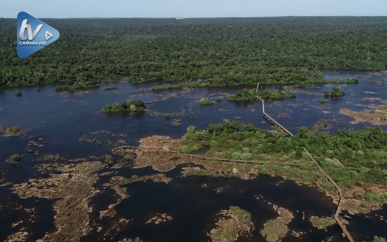 17 de julho: Dia de proteção às florestas e a importância da Mata Atlântica 