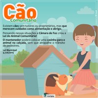 📣 📣 Cão Comunitário❗ 📣 📣