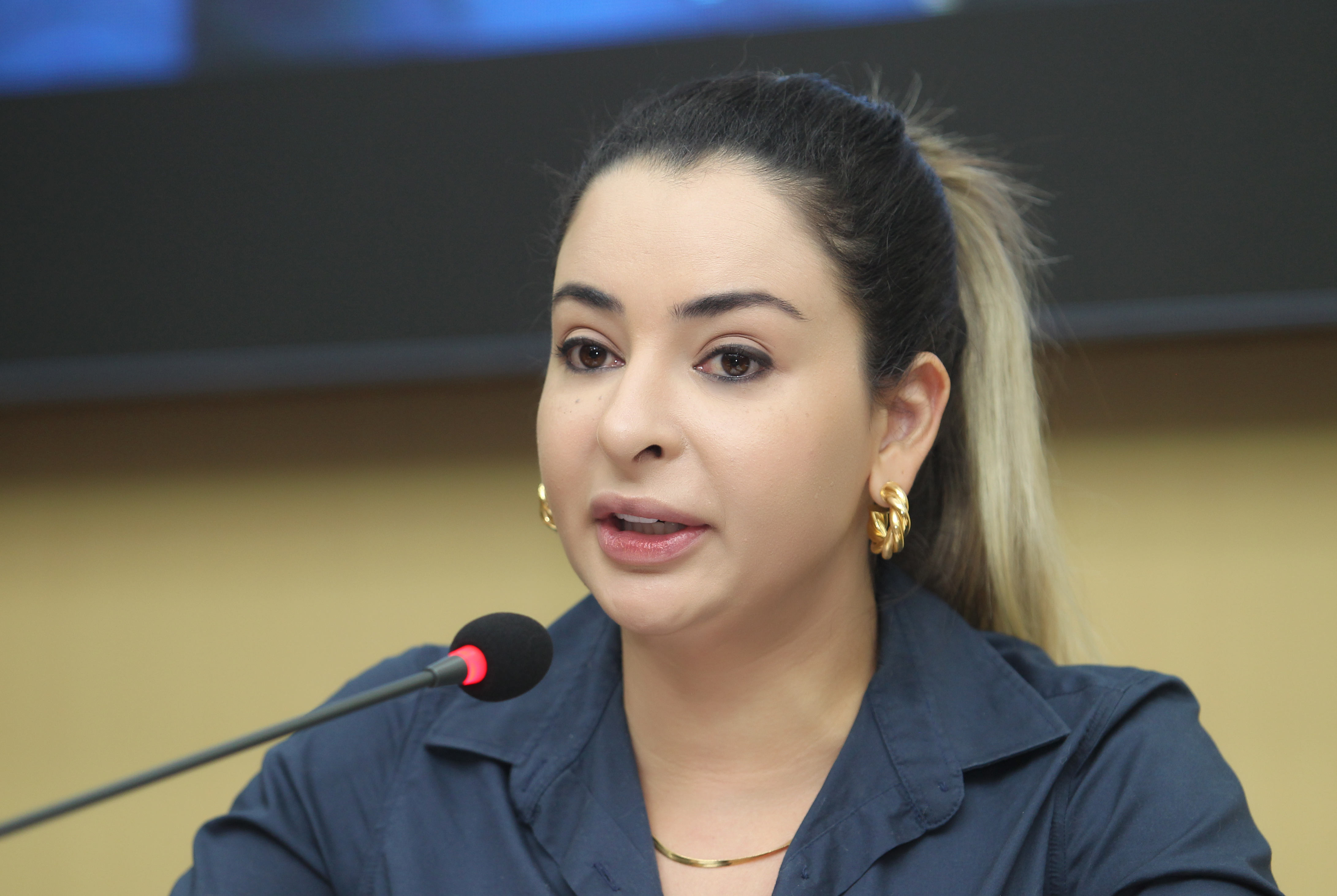 Alterações na Lei Orgânica Municipal propõem direito à licença-maternidade aos cargos de secretárias, prefeita e vice-prefeita