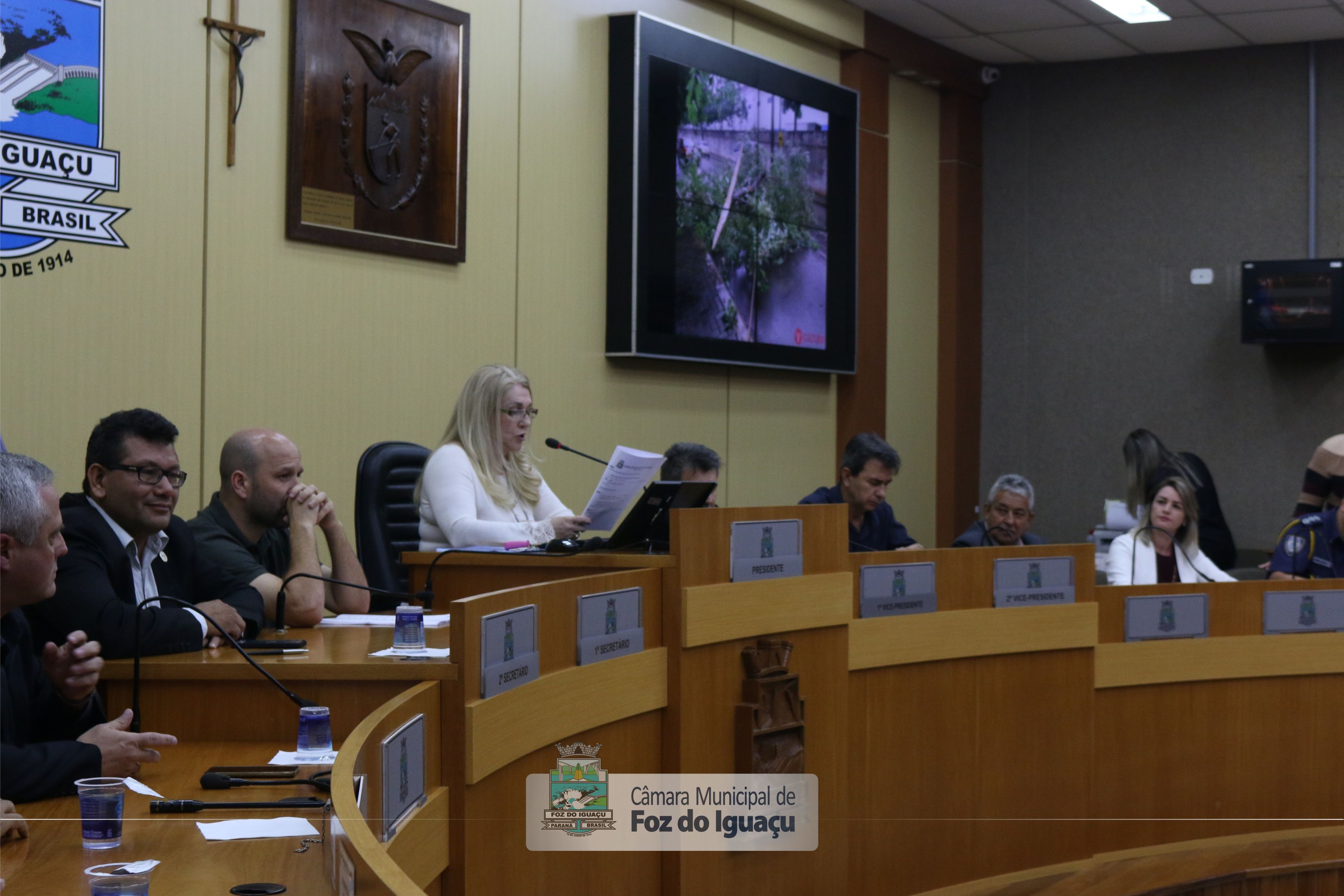 Audiência pública debate sobre os serviços de corte de árvores no município