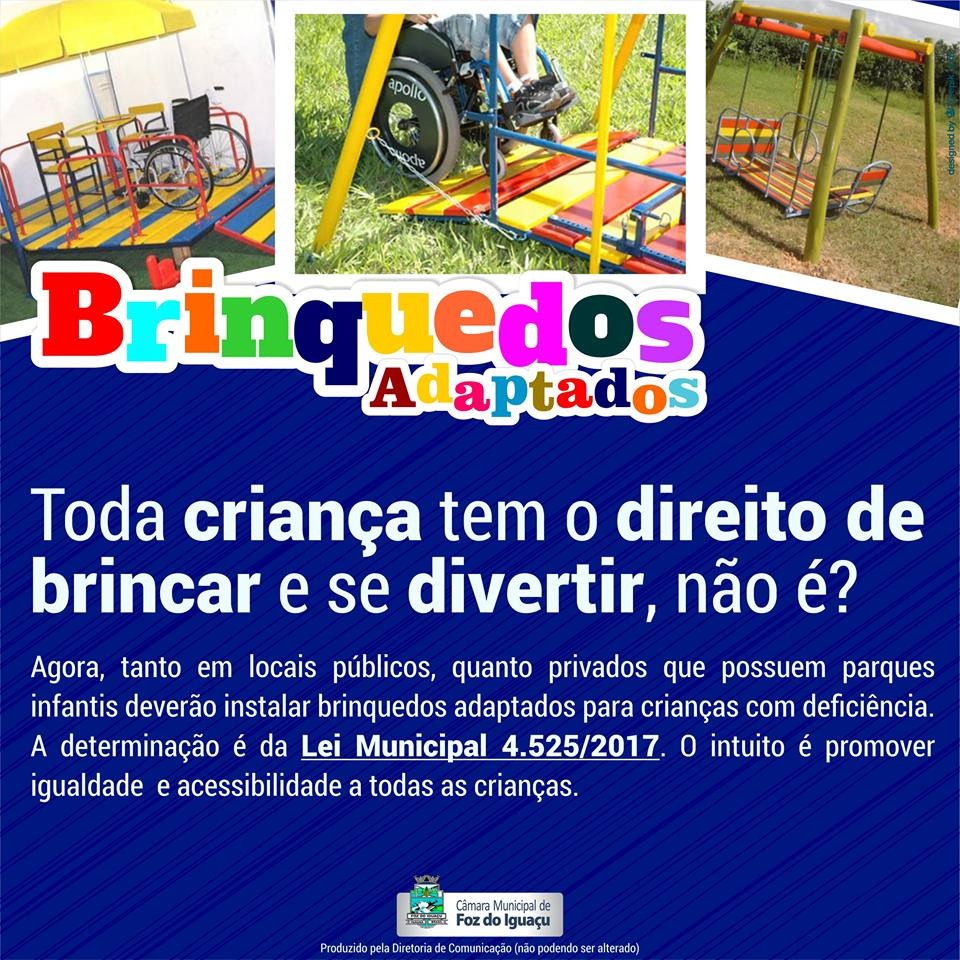 Brinquedos adaptados para crianças com deficiência já é lei em Foz!