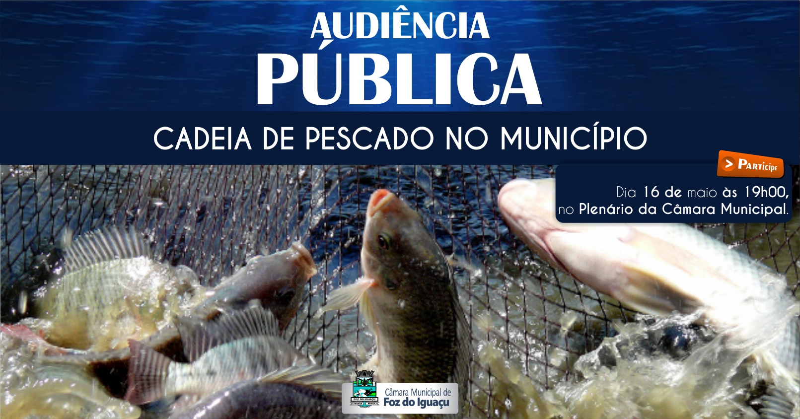 Cadeia do pescado será tema de audiência pública na Câmara Municipal
