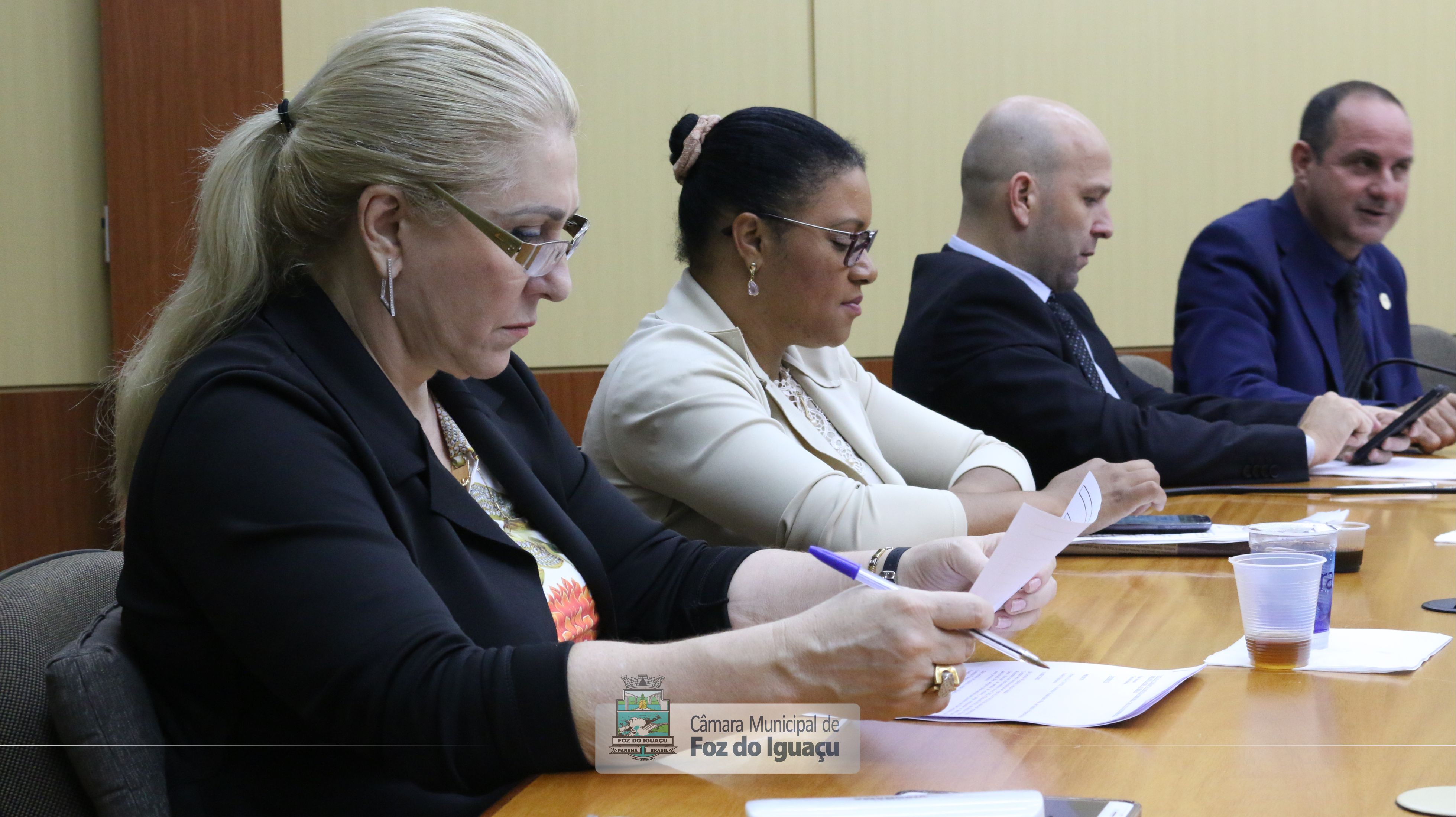 Câmara agiliza projeto de lei sobre corte de árvores e som em bares