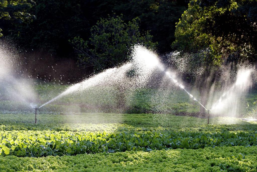 Câmara apoia retomada do projeto de hortas comunitárias em Foz