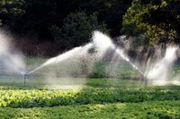 Câmara apoia retomada do projeto de hortas comunitárias em Foz