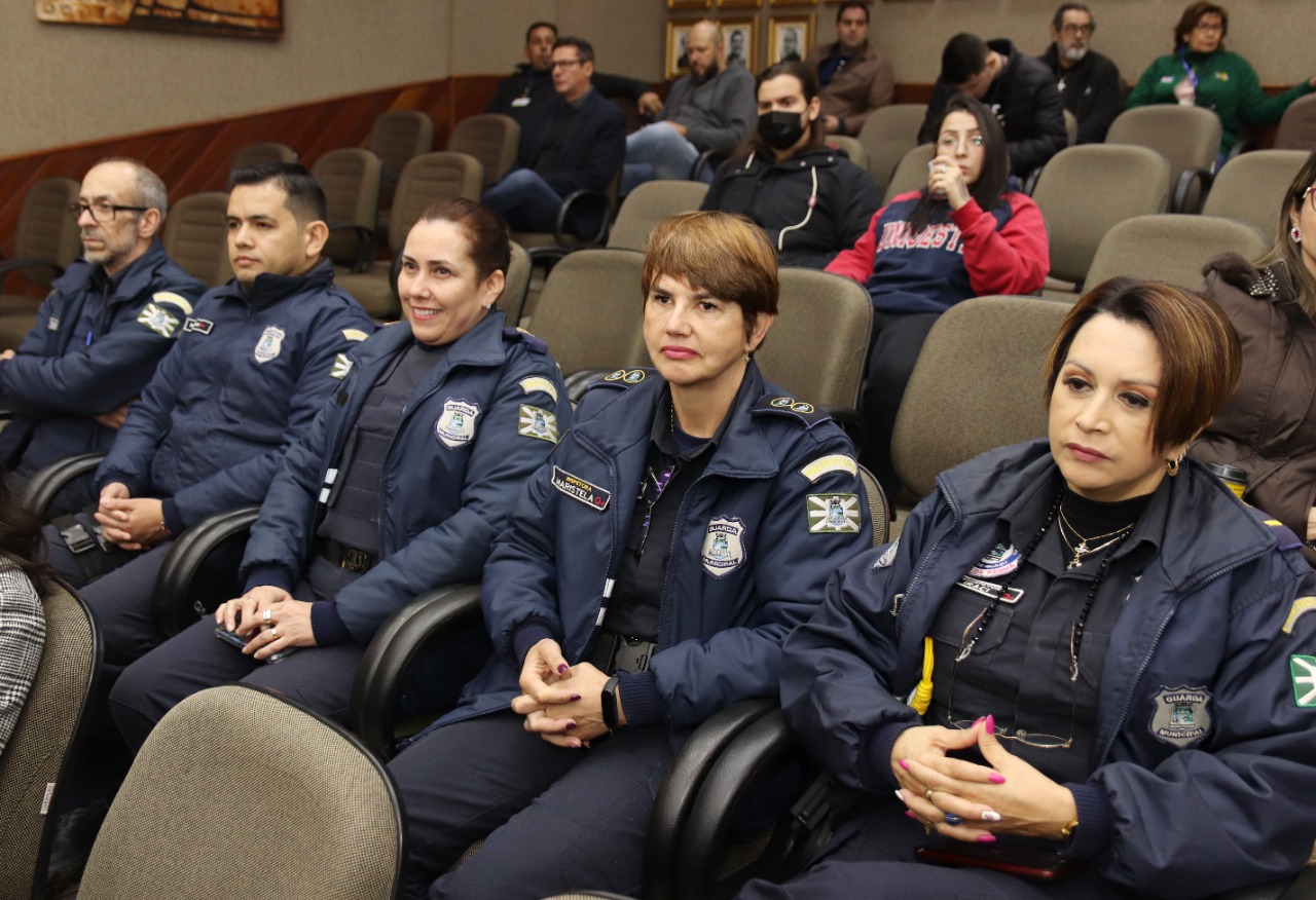 Câmara aprova criação da coordenadoria de Prevenção e Combate à violência contra a mulher