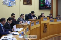 Câmara aprova em 1ª discussão alteração em PLC referente ao corte de árvores e vegetais em espaços públicos