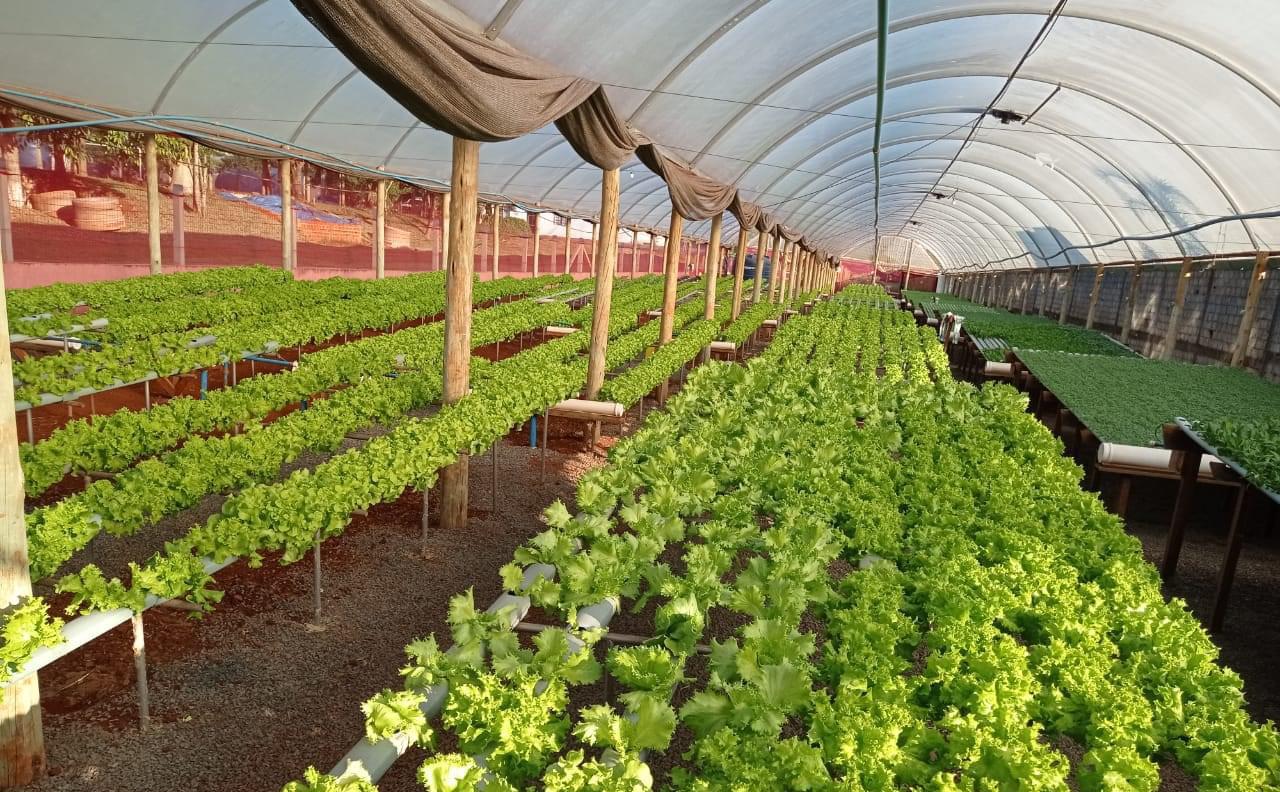 Câmara começa a debater o tema da alimentação saudável e segurança alimentar 