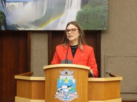 Câmara de Foz aprova programa “Empregue uma Mãe”