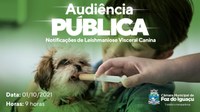 Câmara de Foz realiza audiência pública para discutir notificações de leishmaniose visceral canina