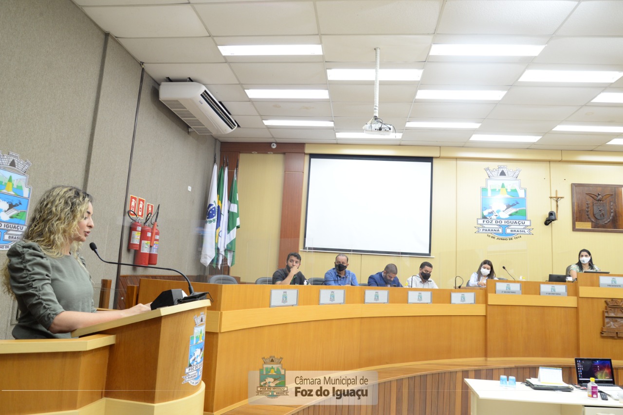 Câmara debate criação de crematórios para cadáveres humanos e pets e cemitérios para animais