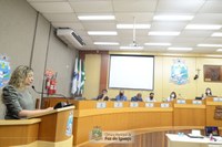 Câmara debate criação de crematórios para cadáveres humanos e pets e cemitérios para animais