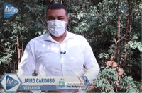 Câmara questiona abandono de macacos no bosque do Jardim Ipê