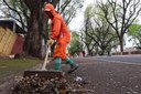 Câmara solicita esclarecimentos sobre serviço de limpeza urbana