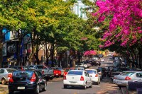 Comissão da Câmara traça diretrizes para impulsionar economia de Foz 