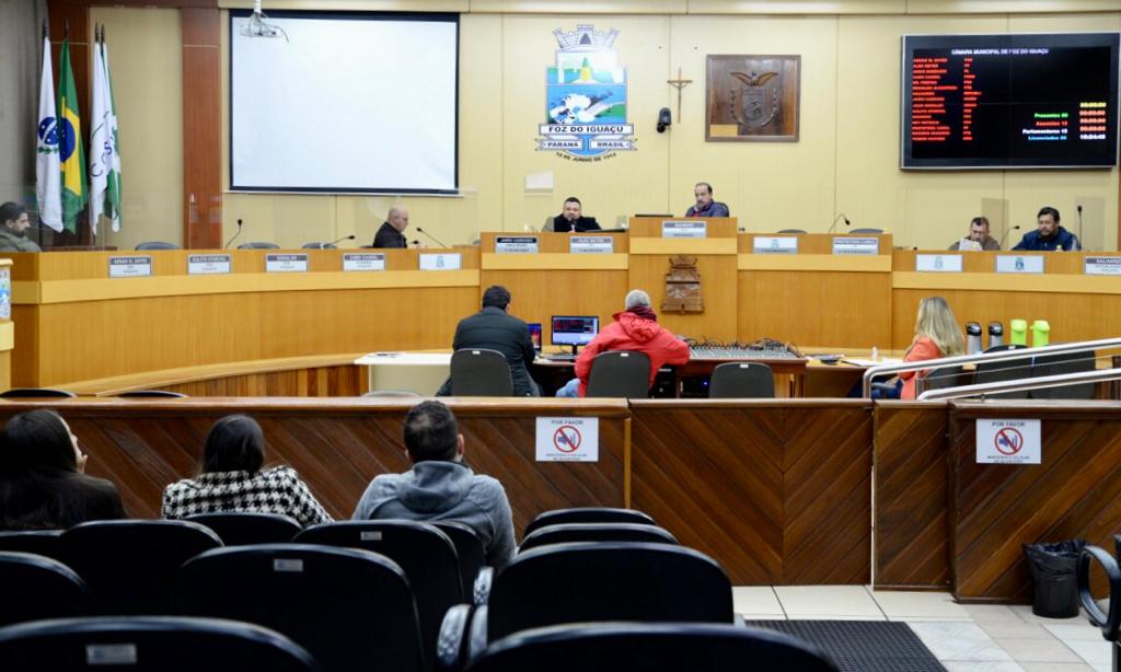 Comissão de Saúde ouve secretário municipal sobre armazenamento das cestas básicas