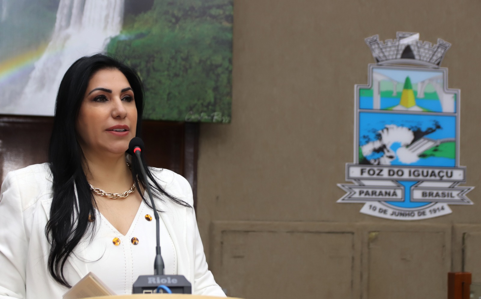 Conheça a vereadora Anice Gazzaoui e a trajetória nos dois anos de mandato