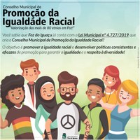 Conselho Municipal de promoção da igualdade racial já é lei!