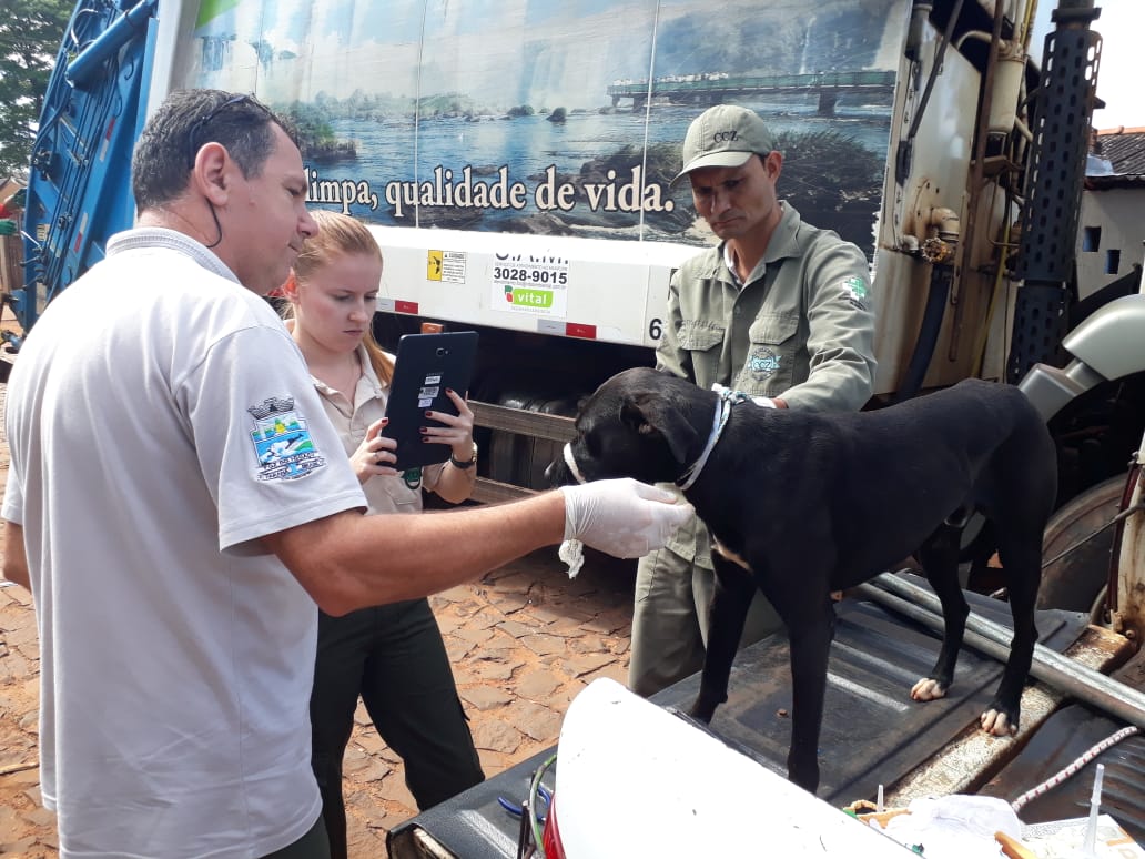 Controle de Leishmaniose e vacinação antirrábica são algumas das propostas da Vereadora Protetora Carol Dedonatti